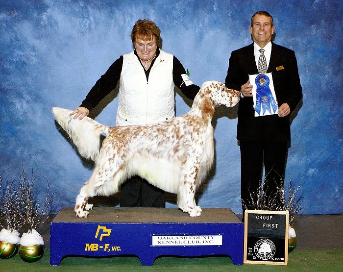Wingfield English Setters 2025 levitan
